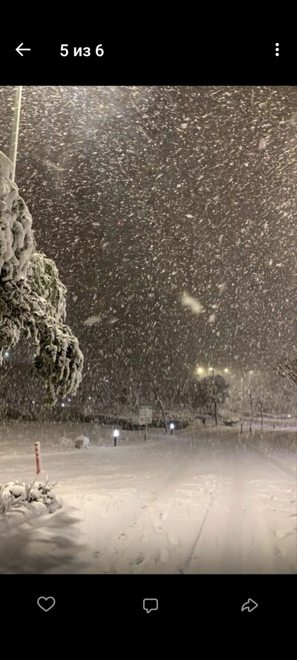 Амира
