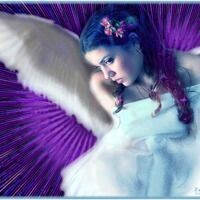 AngelJanya