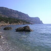 шашникова виктория