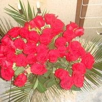 Нинель
