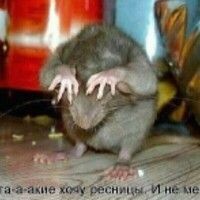 АлЯлЯка