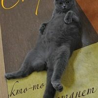 Светлячок