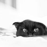 Марина