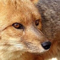 Наталья