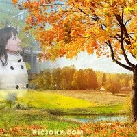 Ильичева Светлана