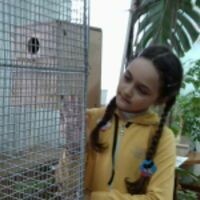 Татьяна Проневич