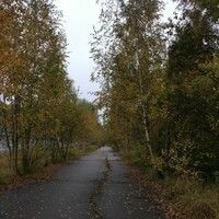Александра Пожидаева