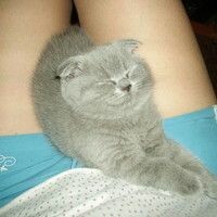 Алёнка