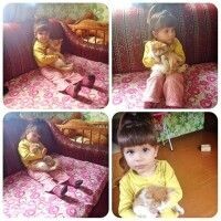 ксения гордеева