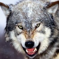 Юлия