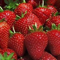 МамаИлюши