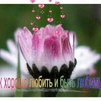 Елена Соловьева