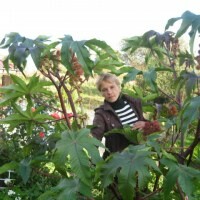 Фуникова Елена