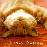 Марченко Екатерина