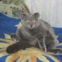 К Мария