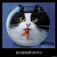 Оболтина Надежда