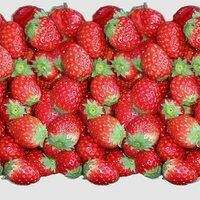 максимова иринкина