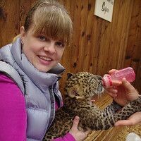 Хохлома Екатерини