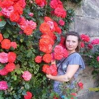 Надежда Филькина