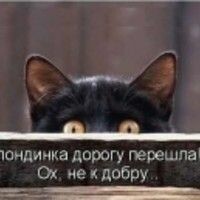 Квіточка