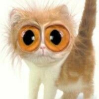 Евгения