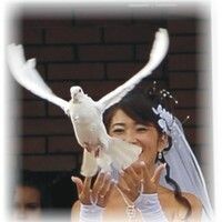 Айгерим Байбулова