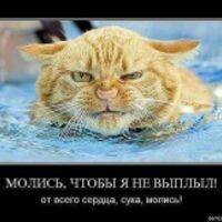 лтрролдд отрппгнтол