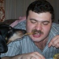 ариша