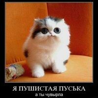 Ярослава
