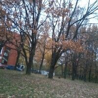 АЛИЯ ФАЙЗУЛЛИНА