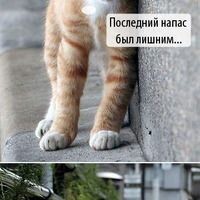 Наташа