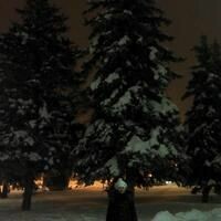 Алёна