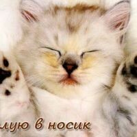Алёна