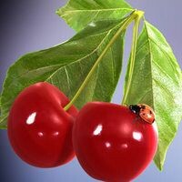 Анна Аушева