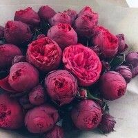Фаризка mum