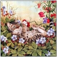 Наталья