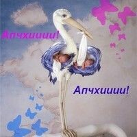 Маргарита