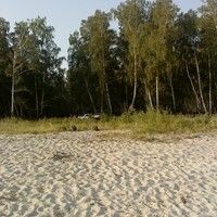 Ангелл Виктория