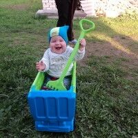 Алёна Волкова