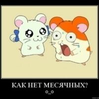 Ксения