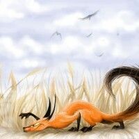 FoxTa