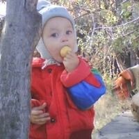 Колотовкина Анна