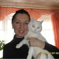 белоконенко анжелика