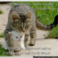 Анастасия Докунина