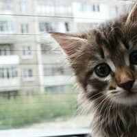 Любимая Светочка