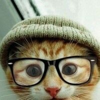 Котяша
