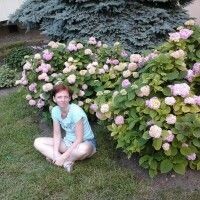 МнОгОмАмА
