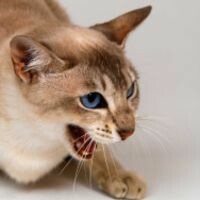 Юлия