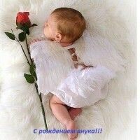 Екатерина Ерохина