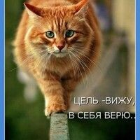 надежда